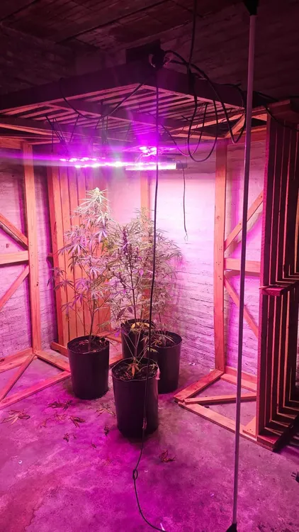 WhatsApp Image 2025-12-10 at 6.36.12 PM