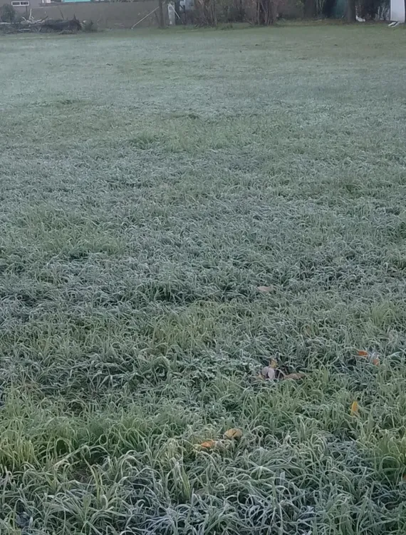 502462644_9846351902079671_3642062569964640365_n