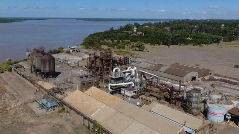 arzinc_crop1597865453697.jpg_1756841869