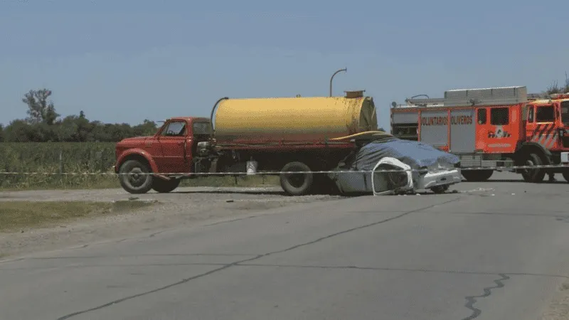 WhatsApp Image 2024-11-20 at 3.15.49 PM