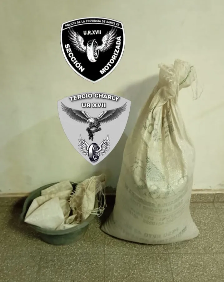 WhatsApp Image 2025-11-03 at 9.41.43 AM